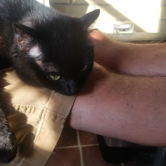 Meet your Posher, Charlene - Picture 1 of 1